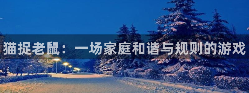 猫捉老鼠：一场家庭和谐与规则的游戏
