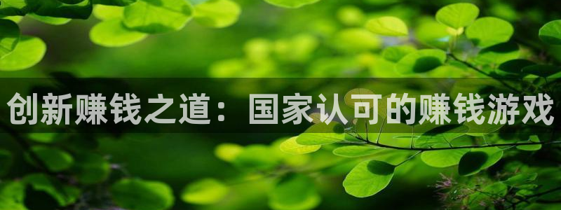 创新赚钱之道：国家认可的赚钱游戏